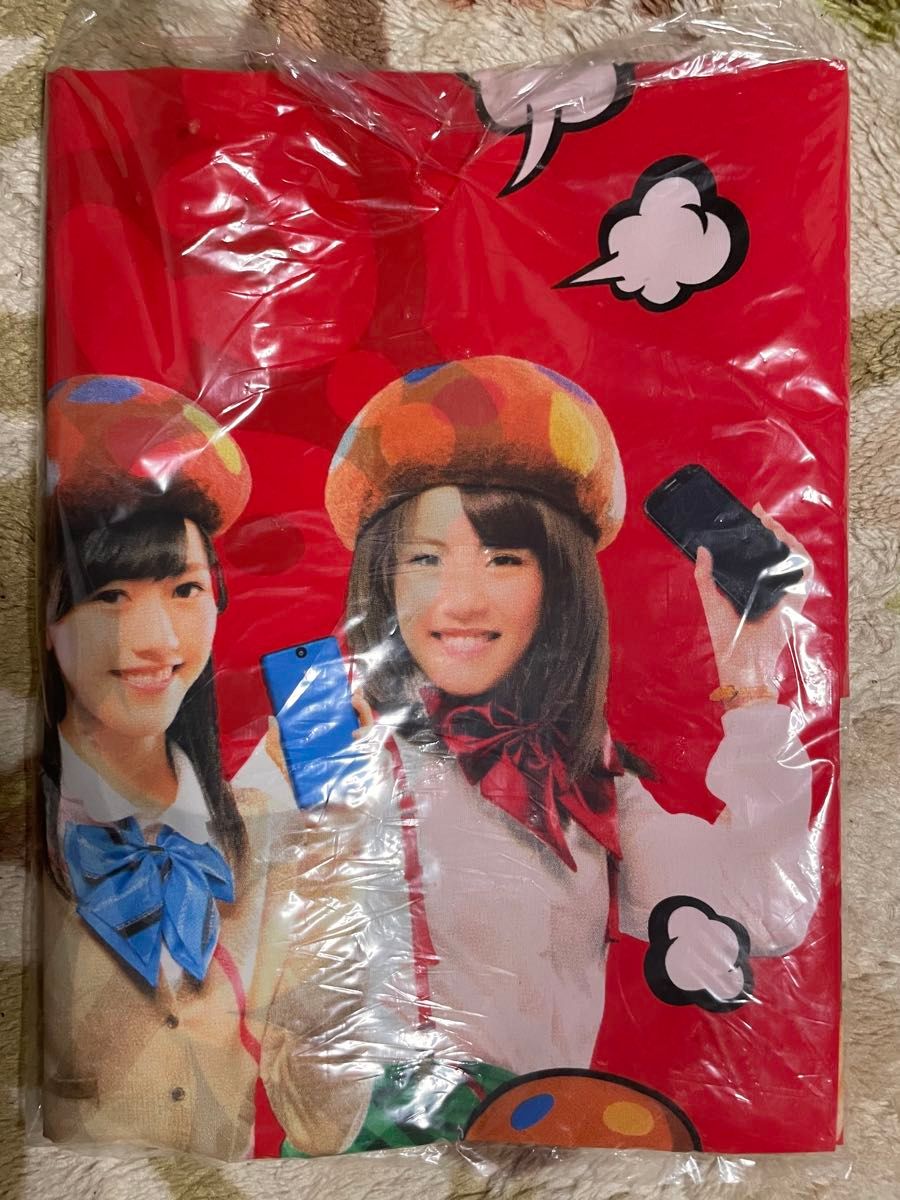 AKB48 NTTドコモ AKBダケの応援学割2013 タペストリー のぼり AKB48 NTTドコモ AKBダケの応援学割2013 タペストリー のぼり 2