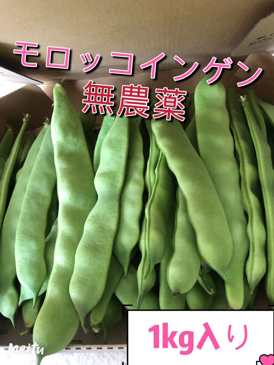 Paypayフリマ モロッコインゲン豆 無農薬栽培1kg