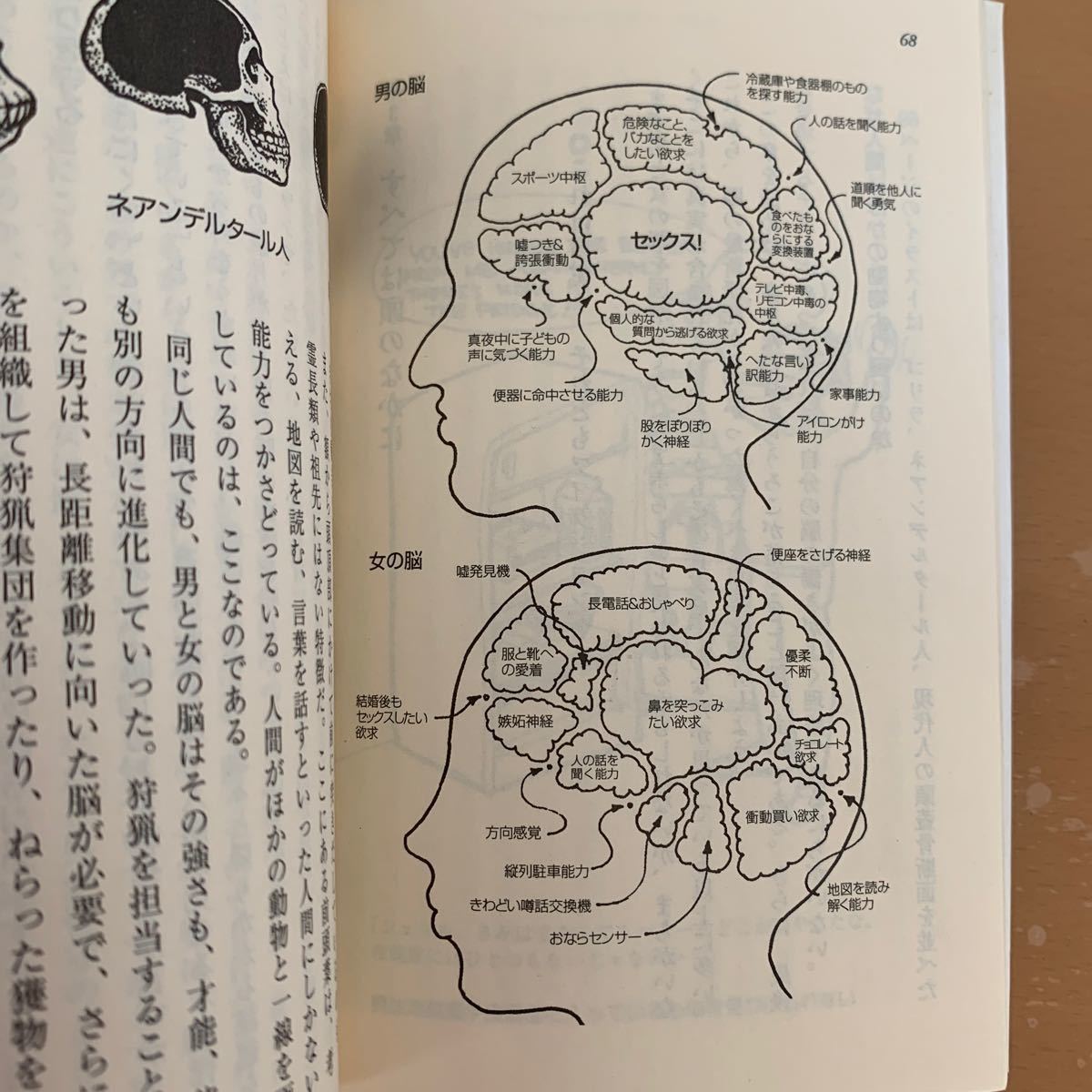 Paypayフリマ 話を聞かない男 地図が読めない女 雑学 教養 古本 Paypayフリマ 話を聞かない男 地図が読めない女 雑学 教養 古本