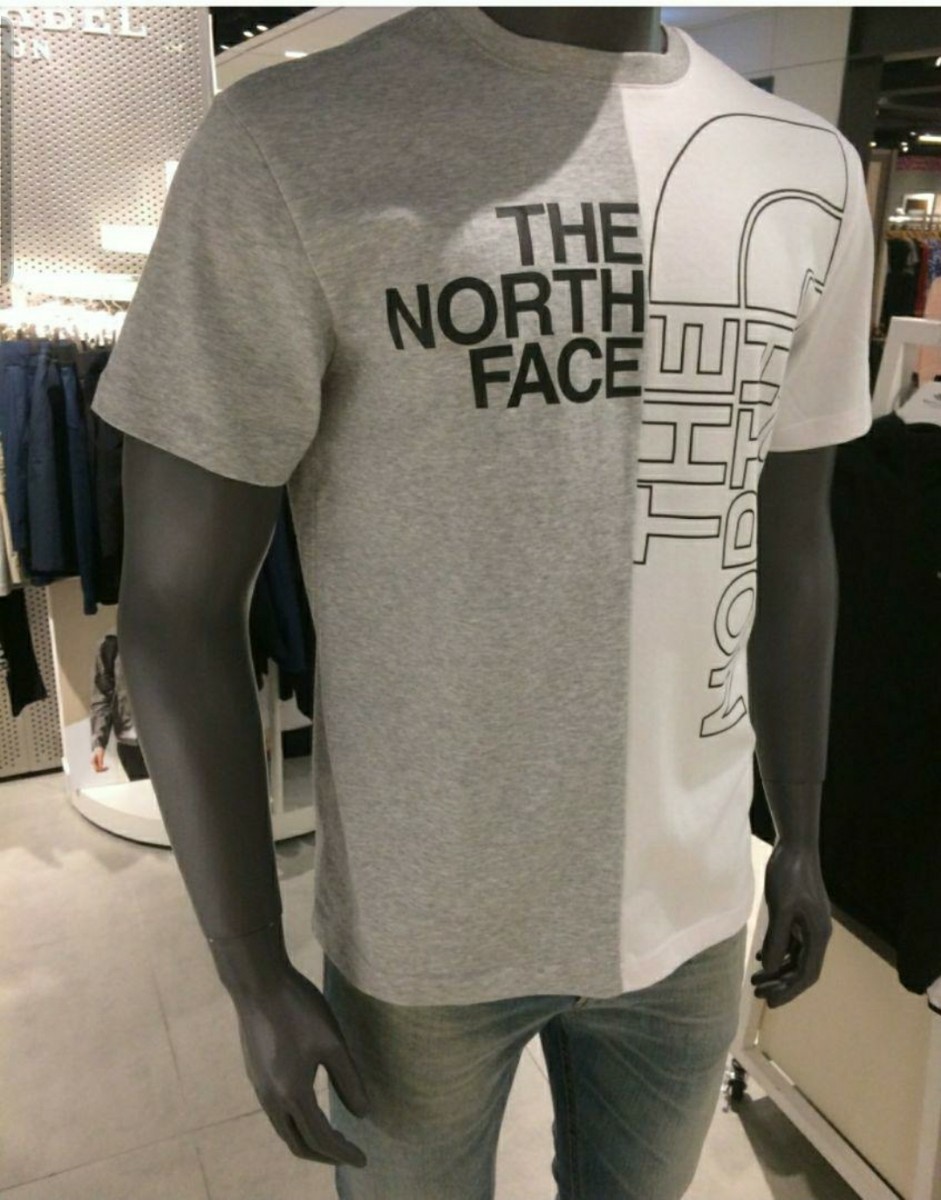 THE NORTH FACE　ノースフェイス Tシャツ ハーフヌプシ　半袖2XＬ