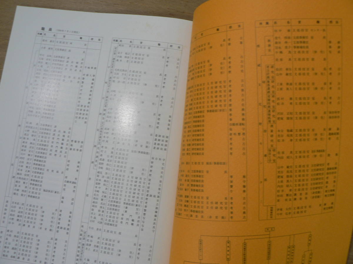 s 奈良国立文化財研究所年報 1990年 奈良国立文化財研究所/奈良県奈良市 平城宮跡・平城京跡の発掘調査 藤原京跡出土の木簡 等_画像8