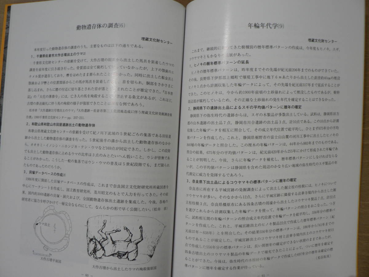 s 奈良国立文化財研究所年報 1990年 奈良国立文化財研究所/奈良県奈良市 平城宮跡・平城京跡の発掘調査 藤原京跡出土の木簡 等_画像7