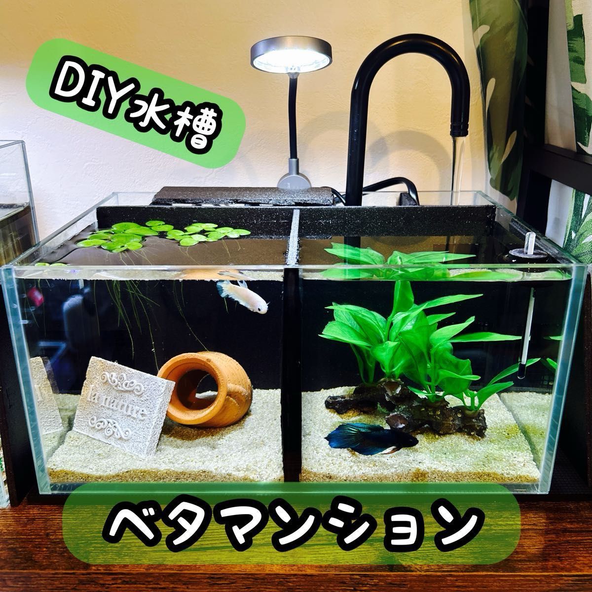 ベタマンション 自作 DIY ベタ 水槽 ベタマンション 自作 DIY ベタ 水槽|Yahoo!フリマ(旧PayPay