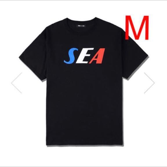 【新品】Mサイズ 20ss WIND AND SEA SEA TRICOLOR TEE BLACK ウィダンシー Tシャツ ブラック トリコロール