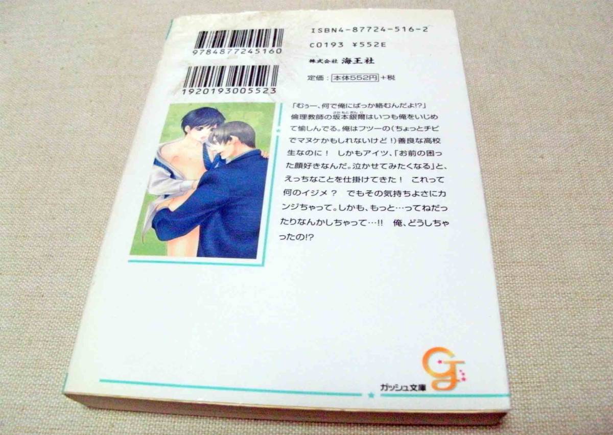 ヤフオク Bl 小説 キズあり 海王社 ガッシュ文庫 困った