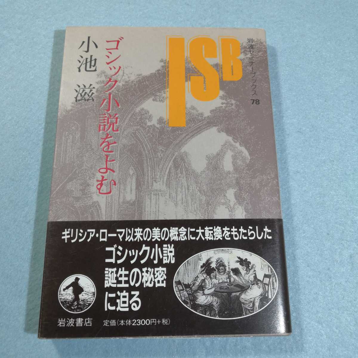 Paypayフリマ ゴシック小説をよむ 岩波セミナーブックス78 小池滋 送料無料 匿名配送