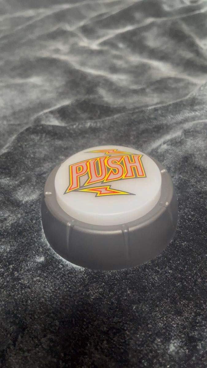 Sammy PUSHボタンサウンドマスコット 丸型 プッシュサウンドマスコット キリンフラッシュ