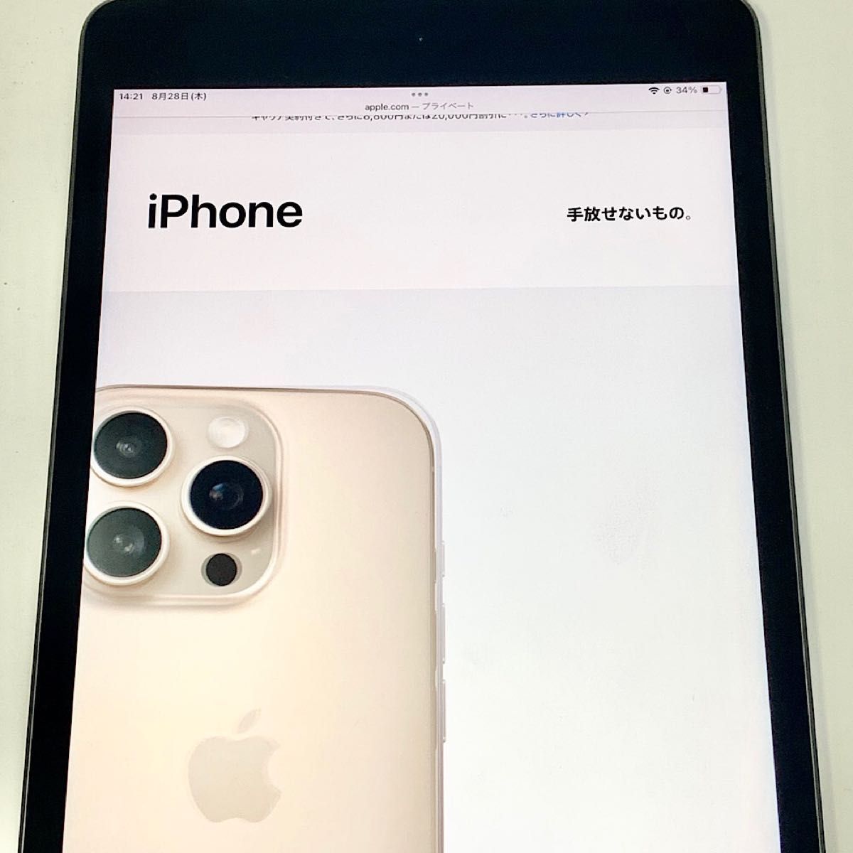 バッテリー90% iPad mini 第5世代 7 9 64GB グレイ Wi-Fi+
