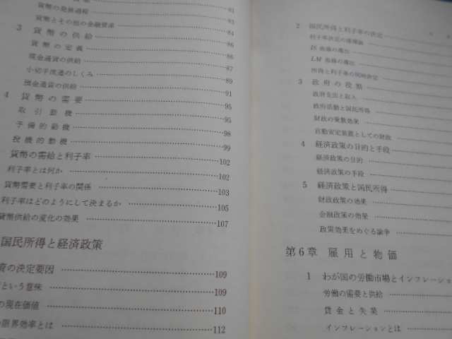 書籍★経済学入門★日本経済とマクロ経済学★三和書房★今村宏★八田英二★労働供給国民総生産貨幣需要利子率★某国立大学経済学部テキスト_画像6