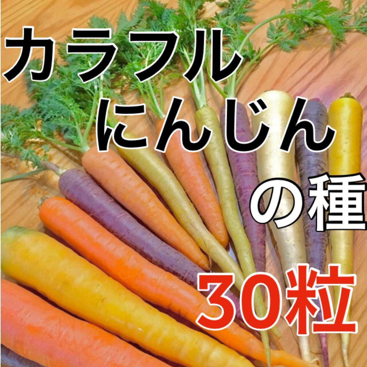 Paypayフリマ 色鮮やか カラフルにんじんの種 30粒 家庭菜園 ニンジン 人参 野菜 種