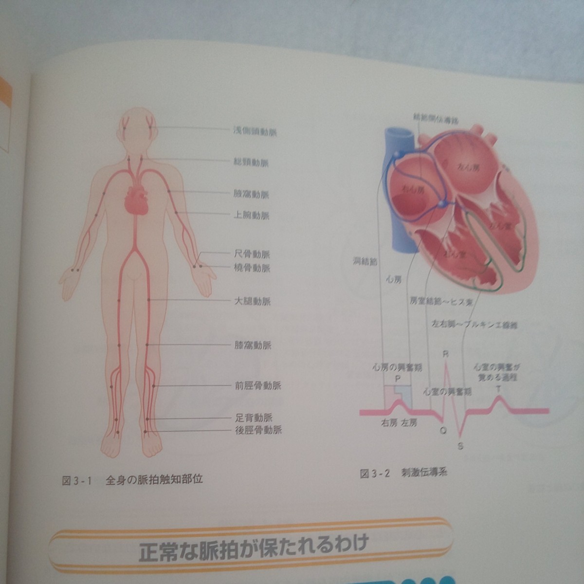 根拠に基づくバイタルサイン