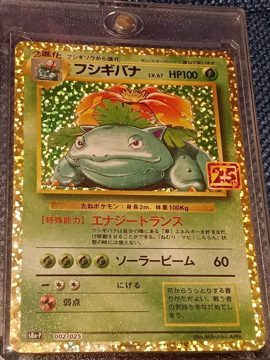 リザードン カメックス フシギバナ25周年記念 プロモカード 美品 25th プロモ ポケモンカード リザードン カメックス