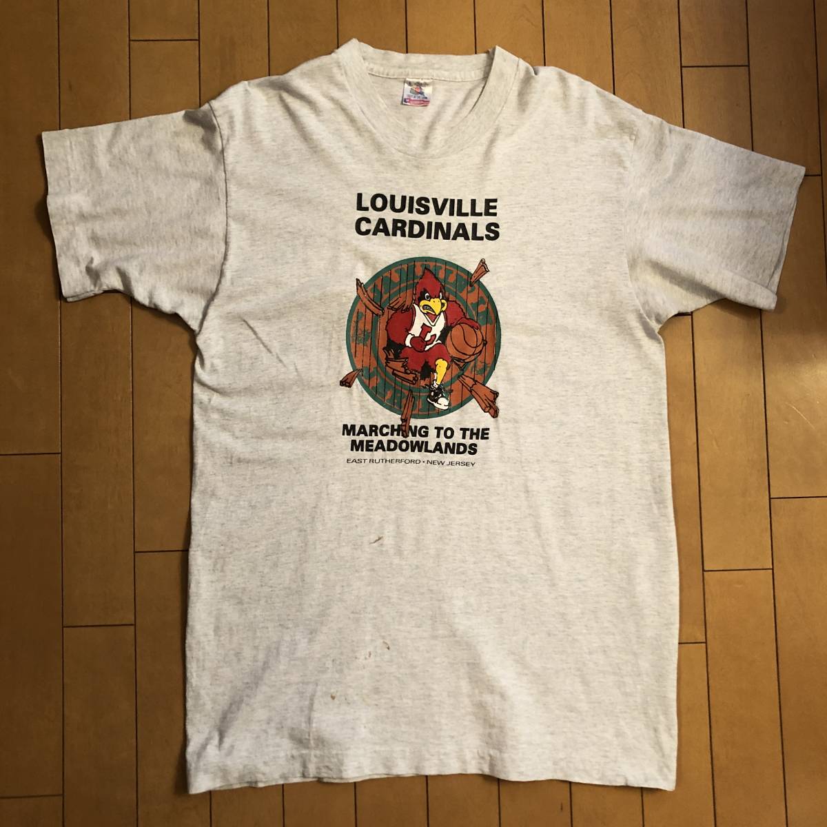 FRUIT OF THE LOOM フルーツオブザルーム　90's半袖Tシャツ　アメカジ　Lサイズ MADE IN USA_画像1