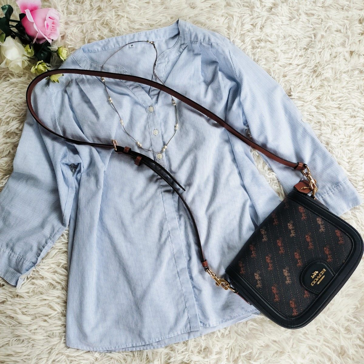 Coach ホース&キャリッジ プリント 2WAY クラッチ クロスボディ 極美品 COACH コーチ クロスボディ ショルダーバッグ ホース