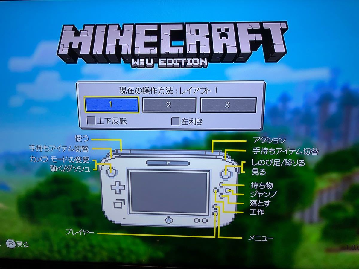 WiiUソフト　 Minecraft マインクラフト