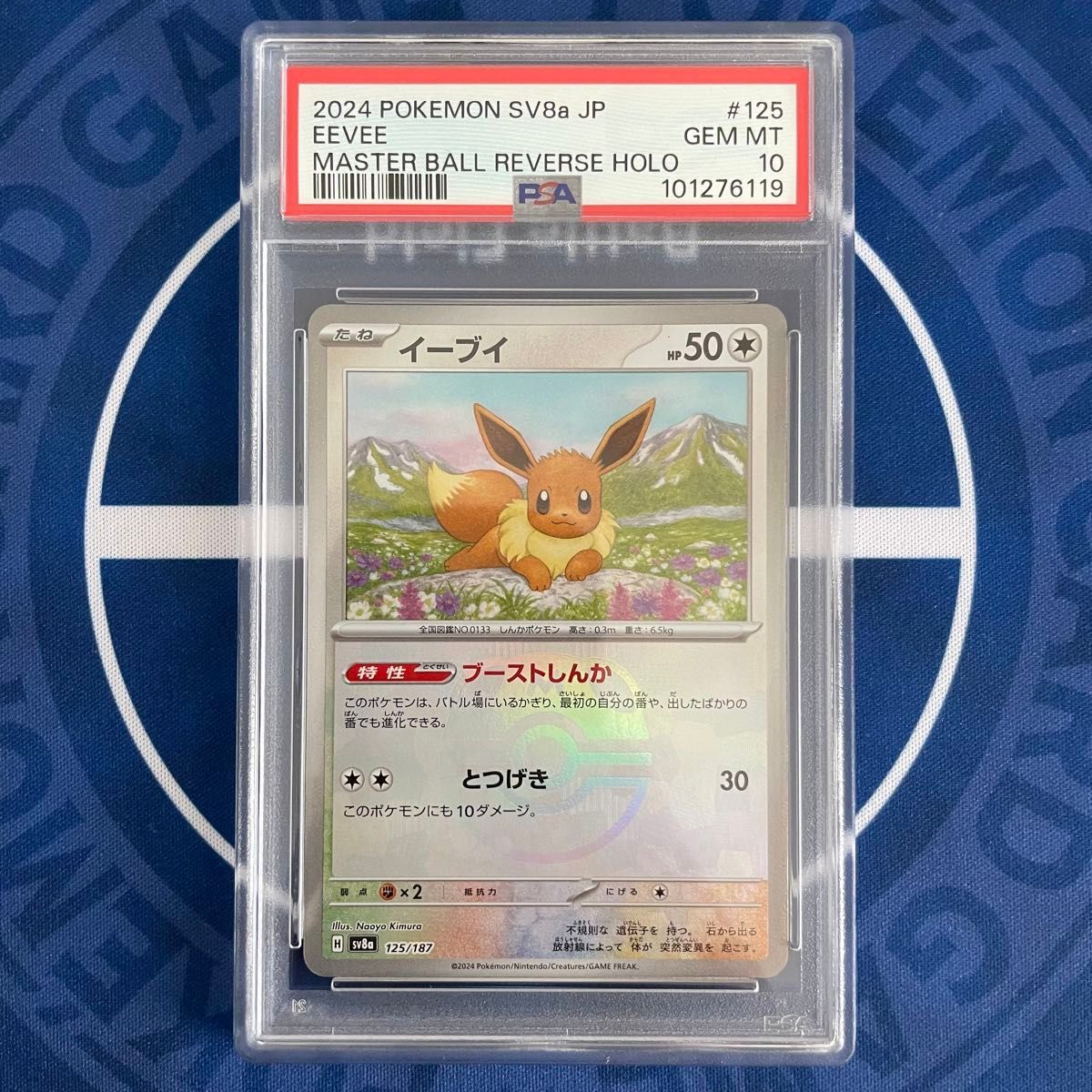 マスターボールミラー ブイズ3種 PSA10連番 おまけ付き PSA10】ブイズ マスターボールミラー 9枚コンプリートセット【9
