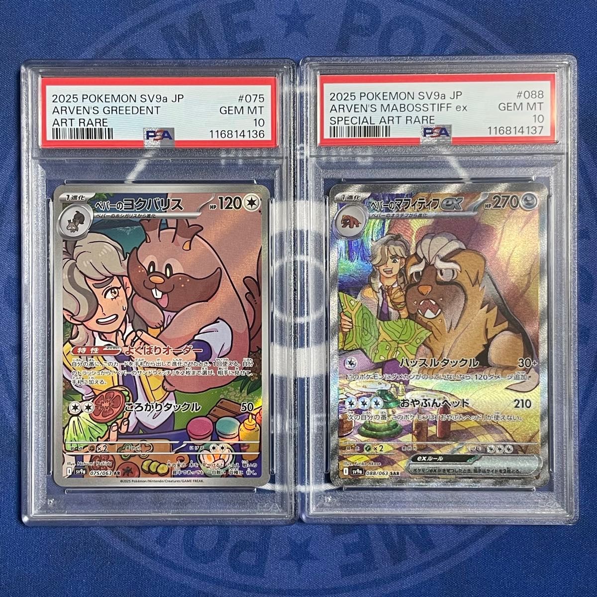 ペパーのヨクバリス マフィティフ PSA10 連番 熱風のアリーナ AR SAR PSA10】ペパーのヨクバリス AR/マフィティフex SAR 2枚セット