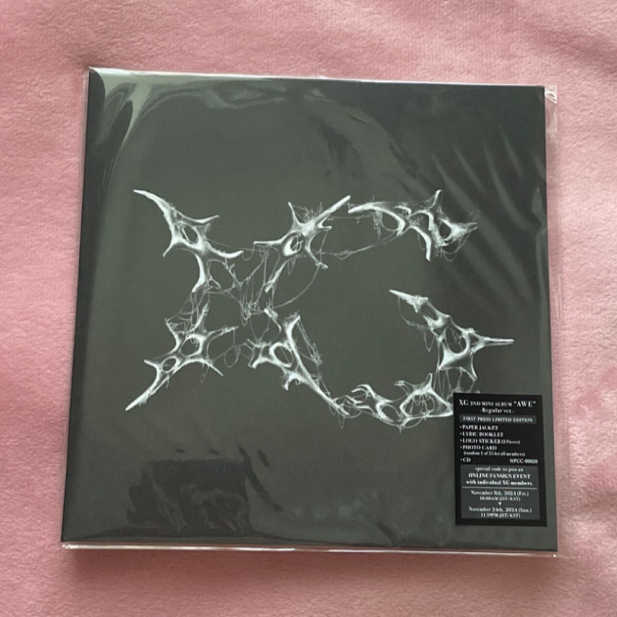 未開 封新品 AWE XG CD トレカ シール まとめ売り ステッカー 10枚 開封済み】 XG AWE CD ステッカー|Yahoo!フリマ(旧PayPayフリマ)