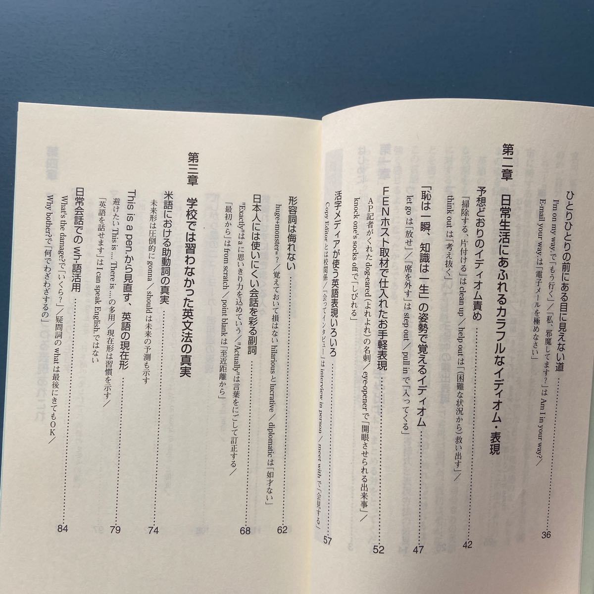 ニューヨーク発・生録英語 思わず膝打つ生きた英語表現とアメリカ社会のありのままの姿 八巻由利子 アルク 新書 初版_画像3