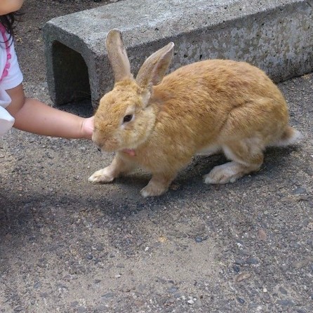 もち様専用