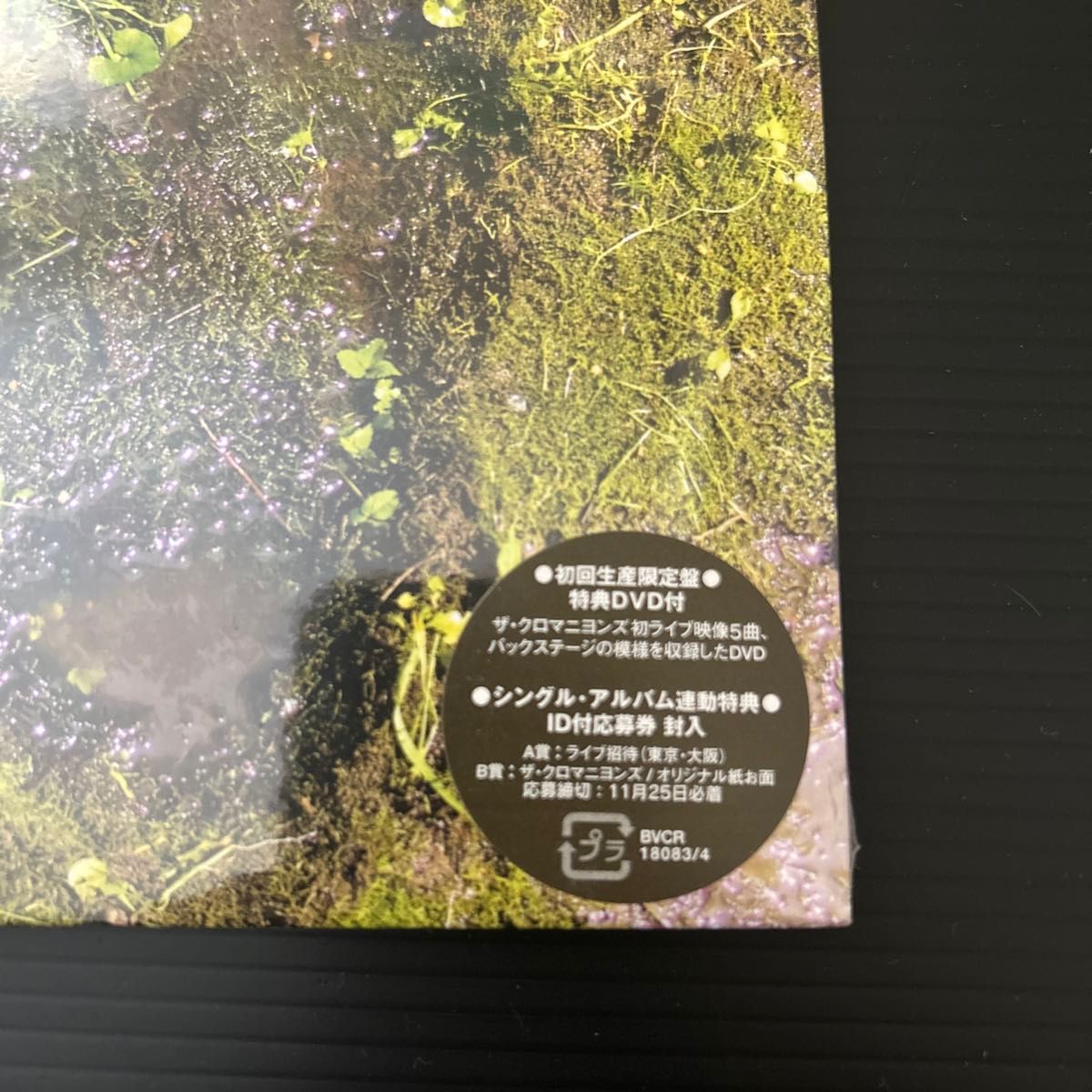 ザ・クロマニヨンズ CD レンタル使用品 新品】【廃盤】ザクロマニヨンズ (初回限定盤) (初ライブDVD付き