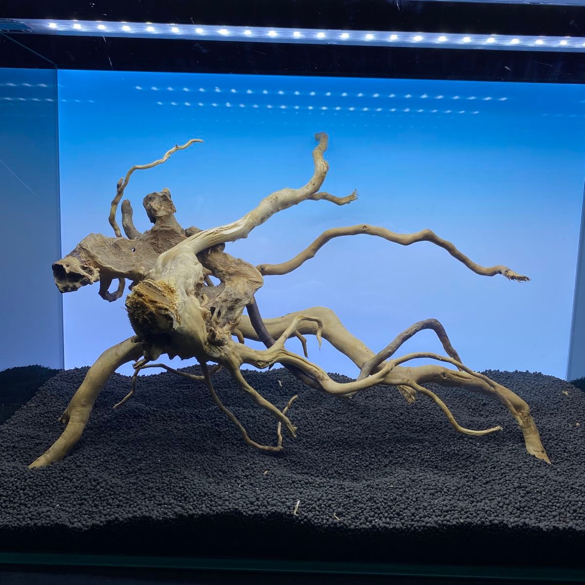 ぺこぺこページ (3026) ブランチウッド MDW-6563 ブランチウッド 流木 枝流木 アクアリウム|Yahoo