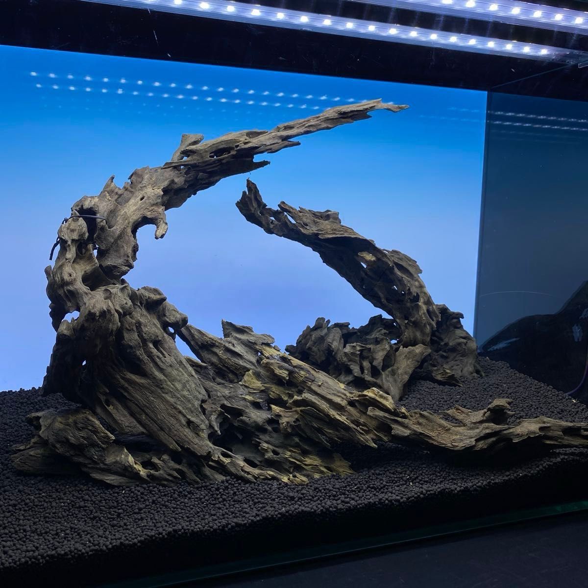 MMW-5726 マシンガンウッド2点セット 自立 流木 アクアリウム MMW-6566マシンガンウッドレイアウトセット 60cm水槽用 流木