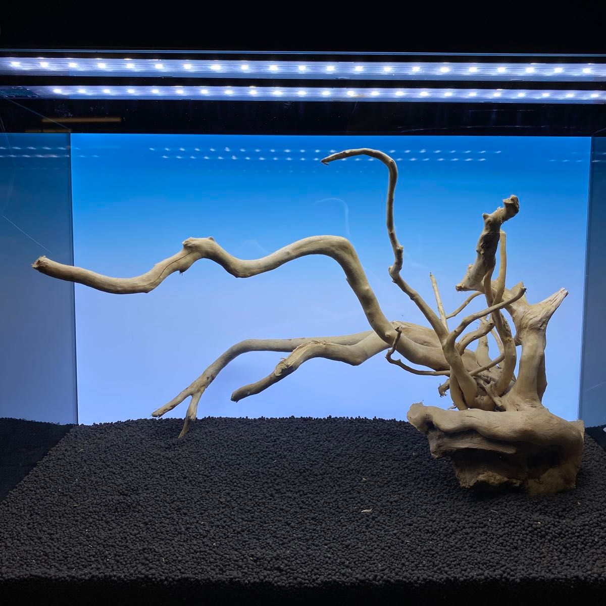 MDW-5947 特大ブランチウッド 90cm以上水槽用 枝流木 アクアリウム MDW-6576ブランチウッド 流木 枝流木 アクアリウム|Yahoo