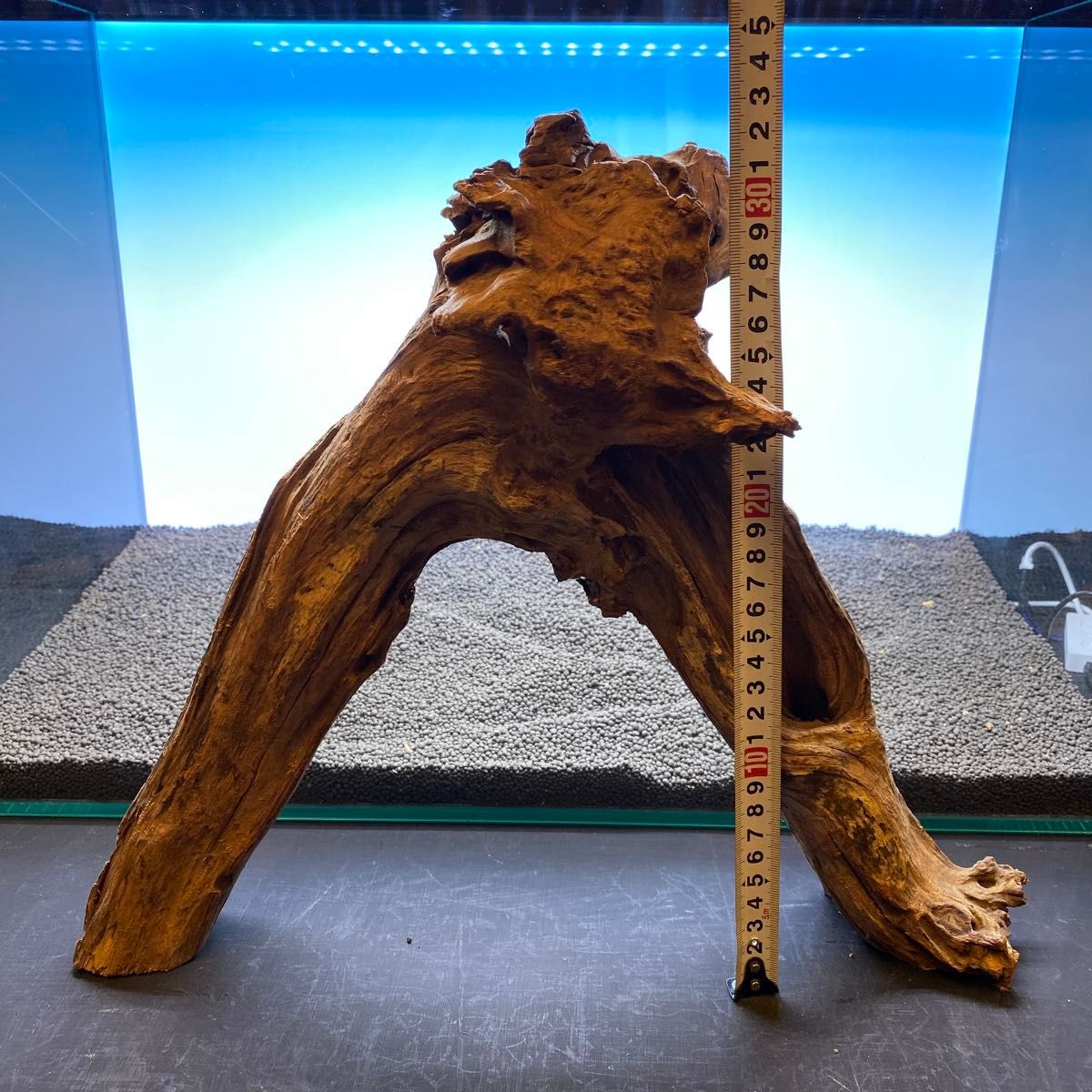MRW-5826 赤系天然流木 自立流木 1点物 流木 アクアリウム MRW-6593自立赤系天然流木 1点物 流木 アクアリウム|Yahoo