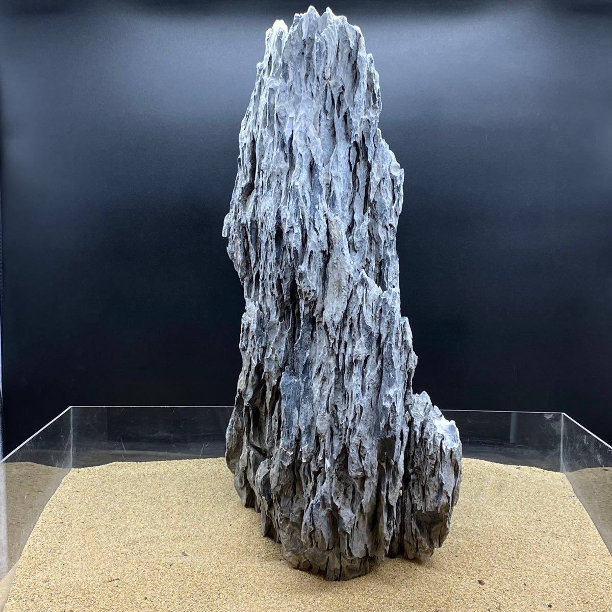 MSS-6642 特大セレクト品青龍石57cm親石 龍王石 竜王石 MSS-6642 特大セレクト品青龍石57cm親石 龍王石 竜王石