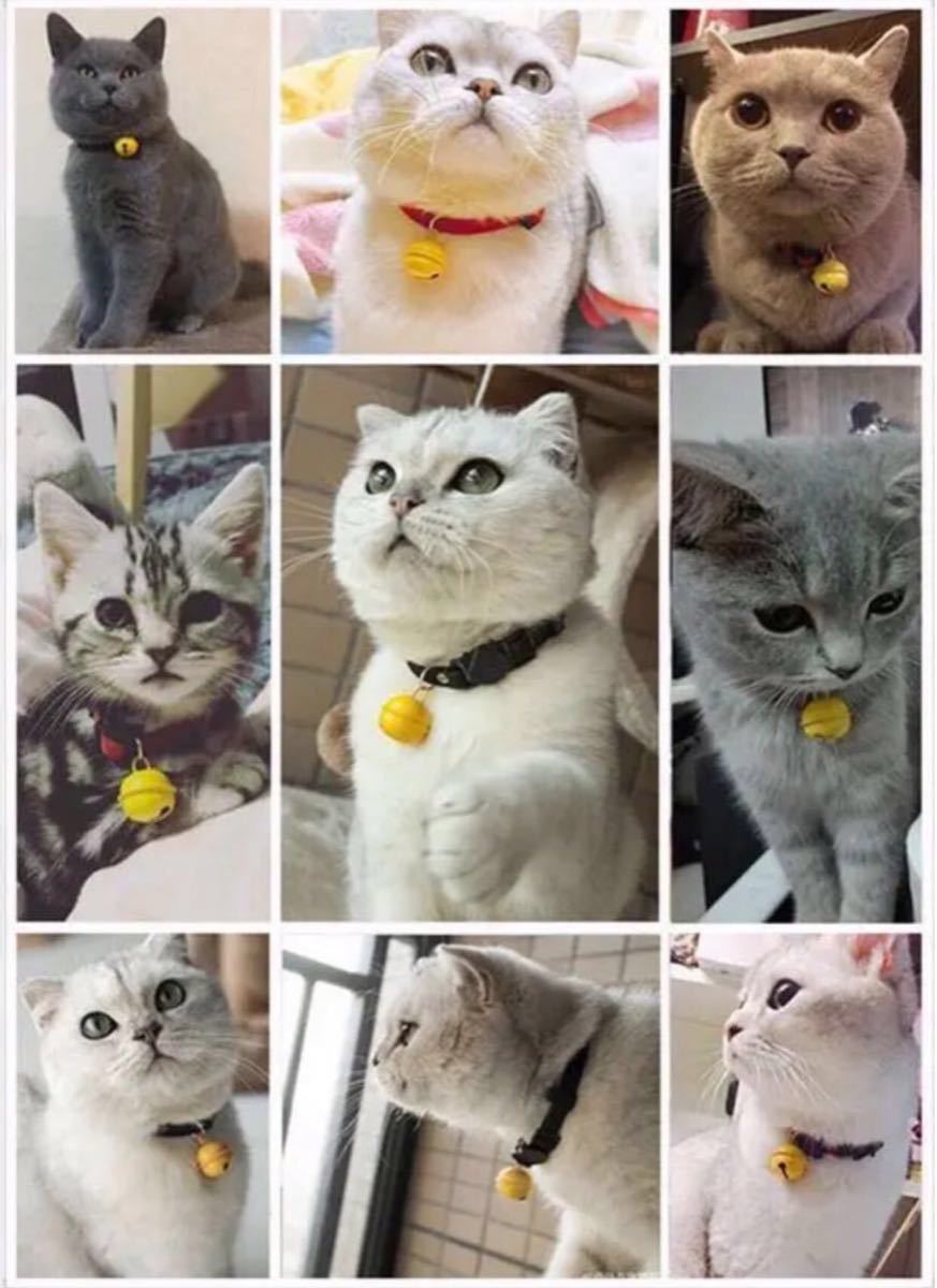 Paypayフリマ 新品 ペット用 首輪 猫ちゃん 犬 サイズs ドラミちゃん風 青 ブルー Paypayフリマ 新品 ペット用 首輪 猫ちゃん 犬 サイズs ドラミちゃん風 青 ブルー