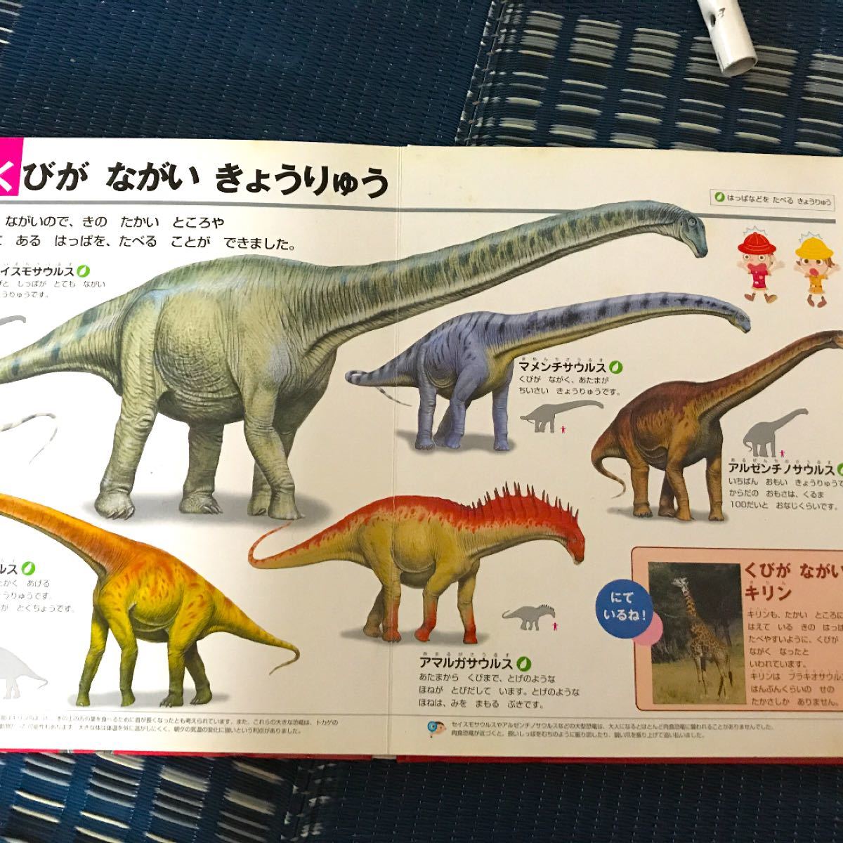 Paypayフリマ 小学館 キョウリュウ絵本 Paypayフリマ 小学館 キョウリュウ絵本