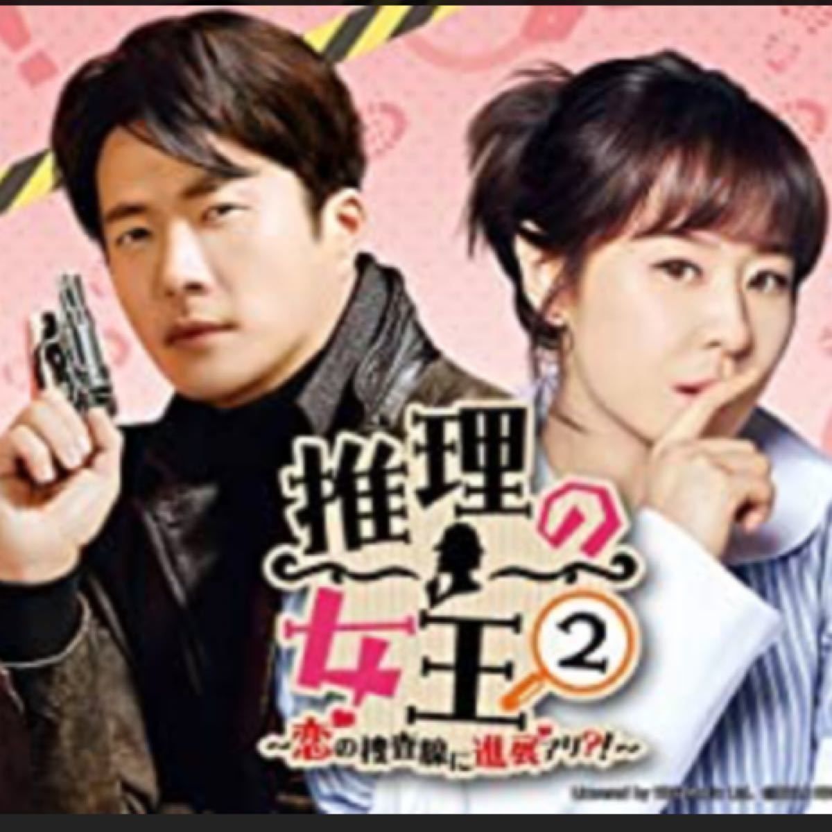 韓国ドラマ  推理の女王2 DVD 8枚 全話