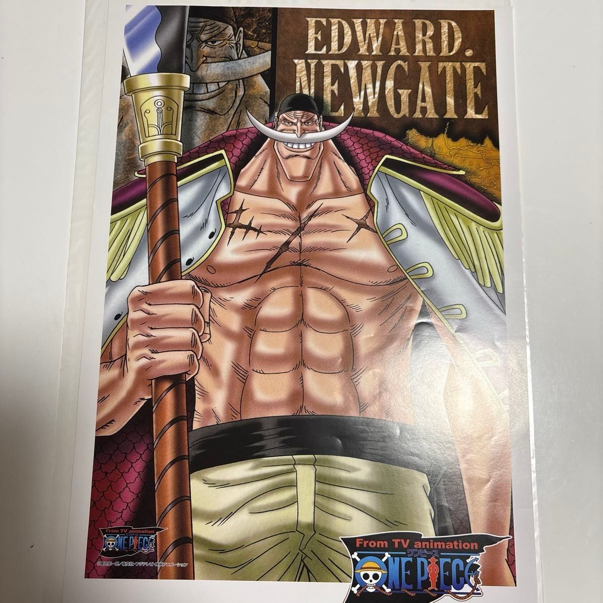 ONE PIECE クリアポスター ONE PIECEアートポスター2点売り サイズ縦36 5横25 8センチ
