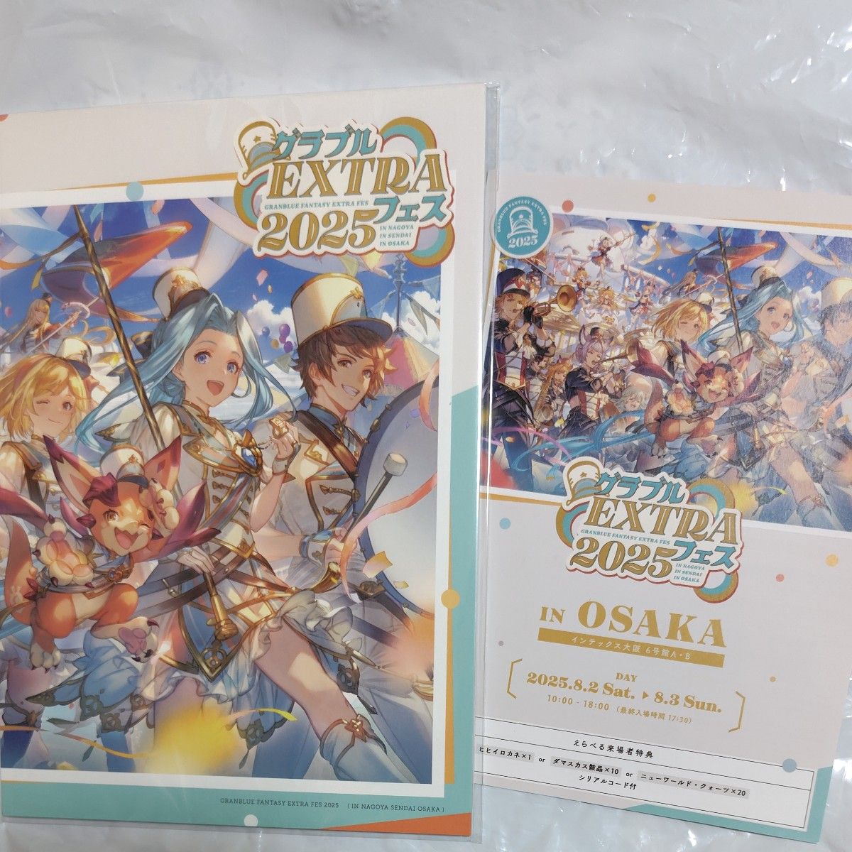 【未開封】グラブルEXTRAフェス2025パンフレット グラブル グラブルEXTRAフェス 2025 パンフレット 新品未開封未