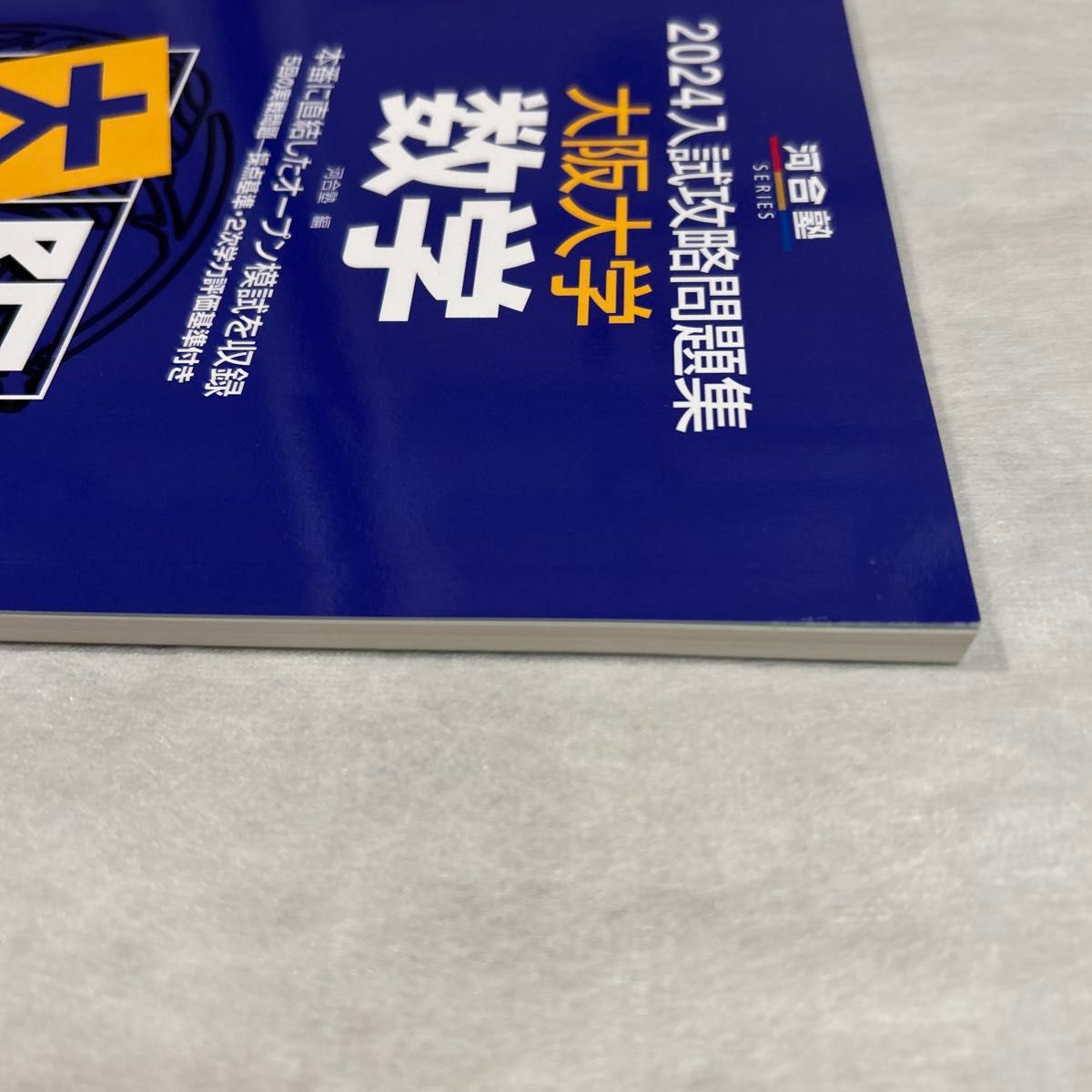 河合出版 大学入試攻略問題集 1993年版 河合塾 24 入試攻略問題集 大阪大学 数学 (河合塾SERIES