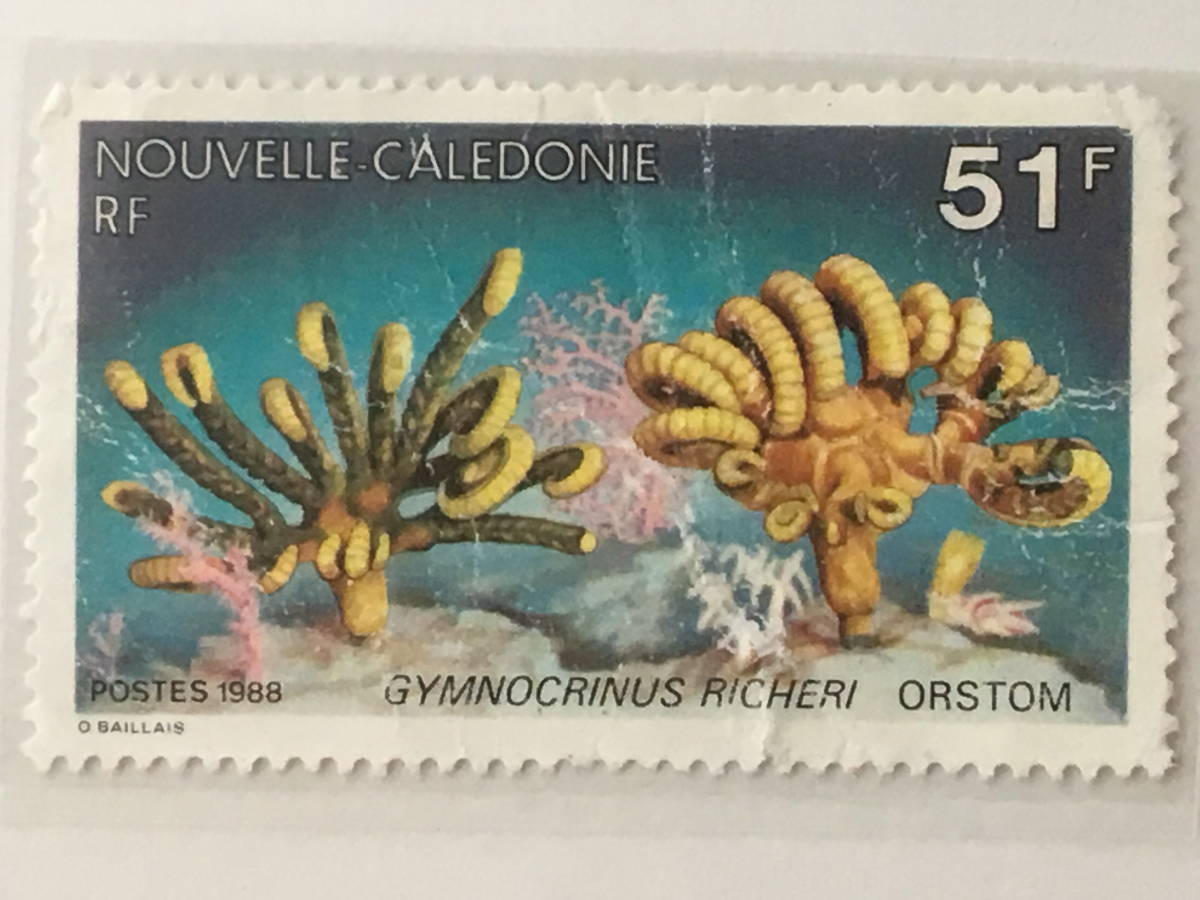  stamp : sea * water side living thing | New Caledonia, lower iyote various island ( France. abroad . earth )*iso silver tea k*1988 year *