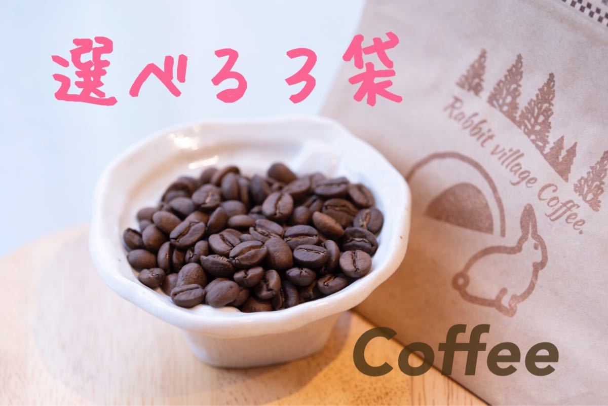 コーヒー豆　選べる３袋 Rabbit village