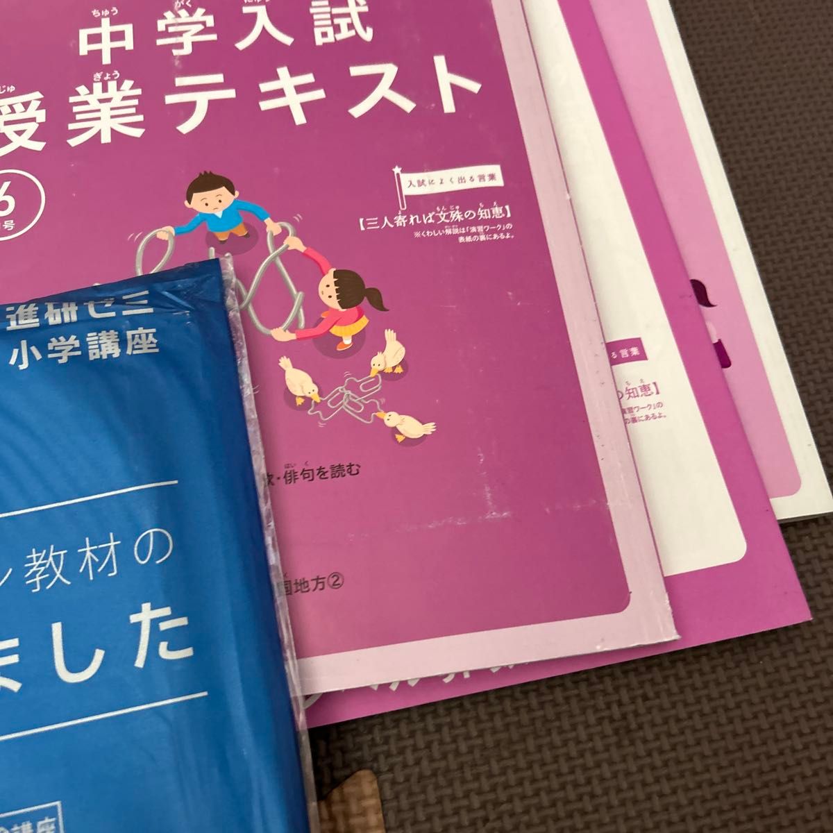 ベネッセ 進研ゼミ 中学受験講座 セット 進研ゼミ 中学受験講座|Yahoo!フリマ(旧PayPayフリマ)
