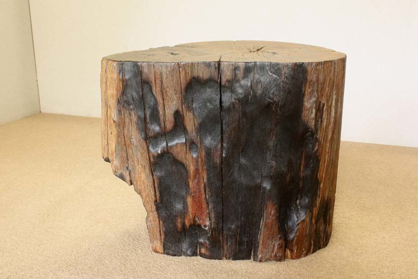 * free shipping *[..] antique *. tree old tree nature . dent convex *. wood *. tree * wood grain * one point thing *....* hard-to-find * valuable!* my ten cut . stock chair (55 kilo )