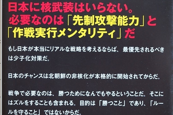 『日本4.0』　国家戦略の新しいリアル　先制攻撃能力　作戦実行メンタリティ　米中対立　エドワード・ルトワック　奥山真司　新書_画像2