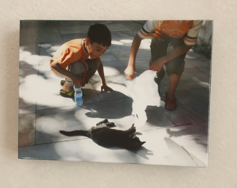 写真 トルコ イスタンブール 猫と男の子 木製パネル加工 八つ切りサイズ_画像1