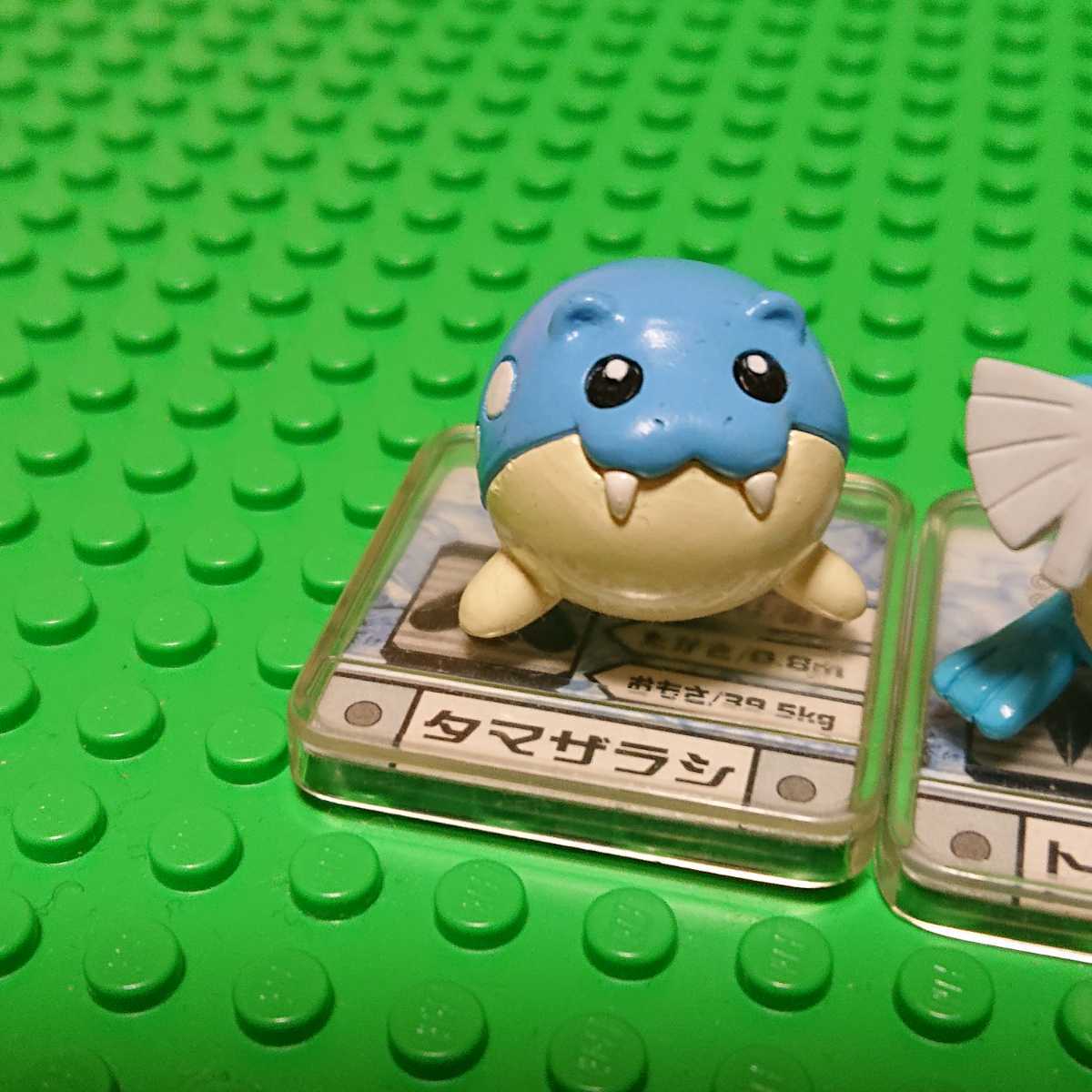 ポケモン フルカラーアドバンス タマザラシ トドクラー トドゼルガ ポケットモンスター フィギュア_画像3