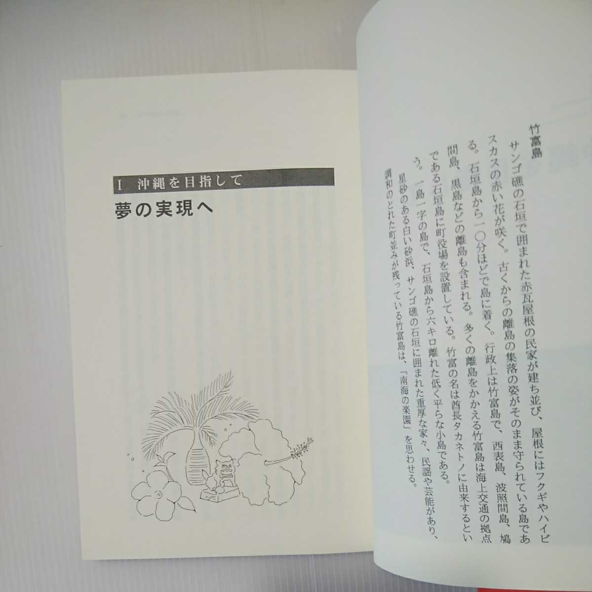 zaa-380♪ 沖縄で暮らす!!―移住・滞在のすすめ (日本語) 単行本 1998/7/1 太田 息吹 (著)