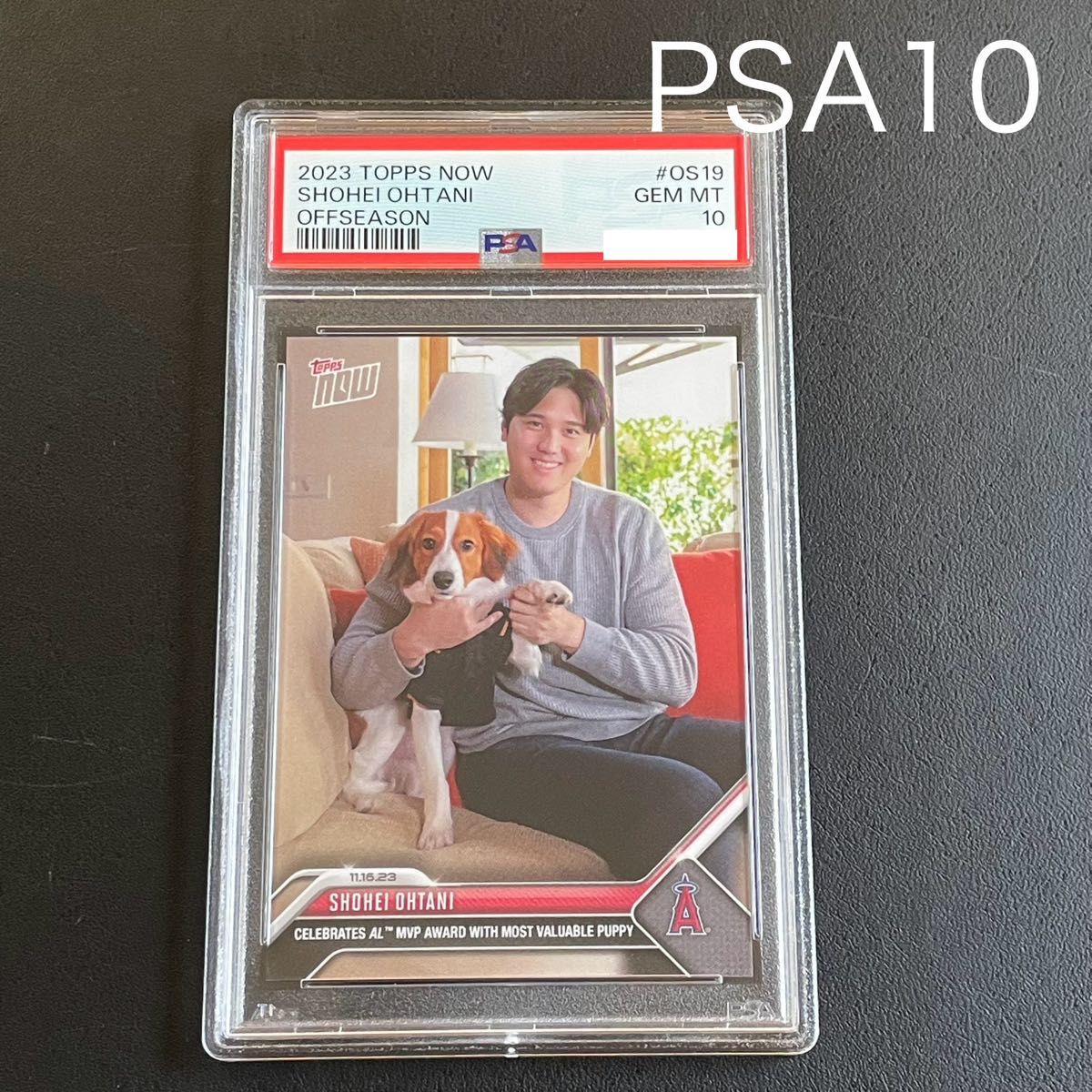 大谷翔平 アメリカン・リーグMVP受賞記念カード(PSA鑑定済10点満点) PSA10】大谷翔平 デコピン カード 2024 満票 MVP topps|Yahoo