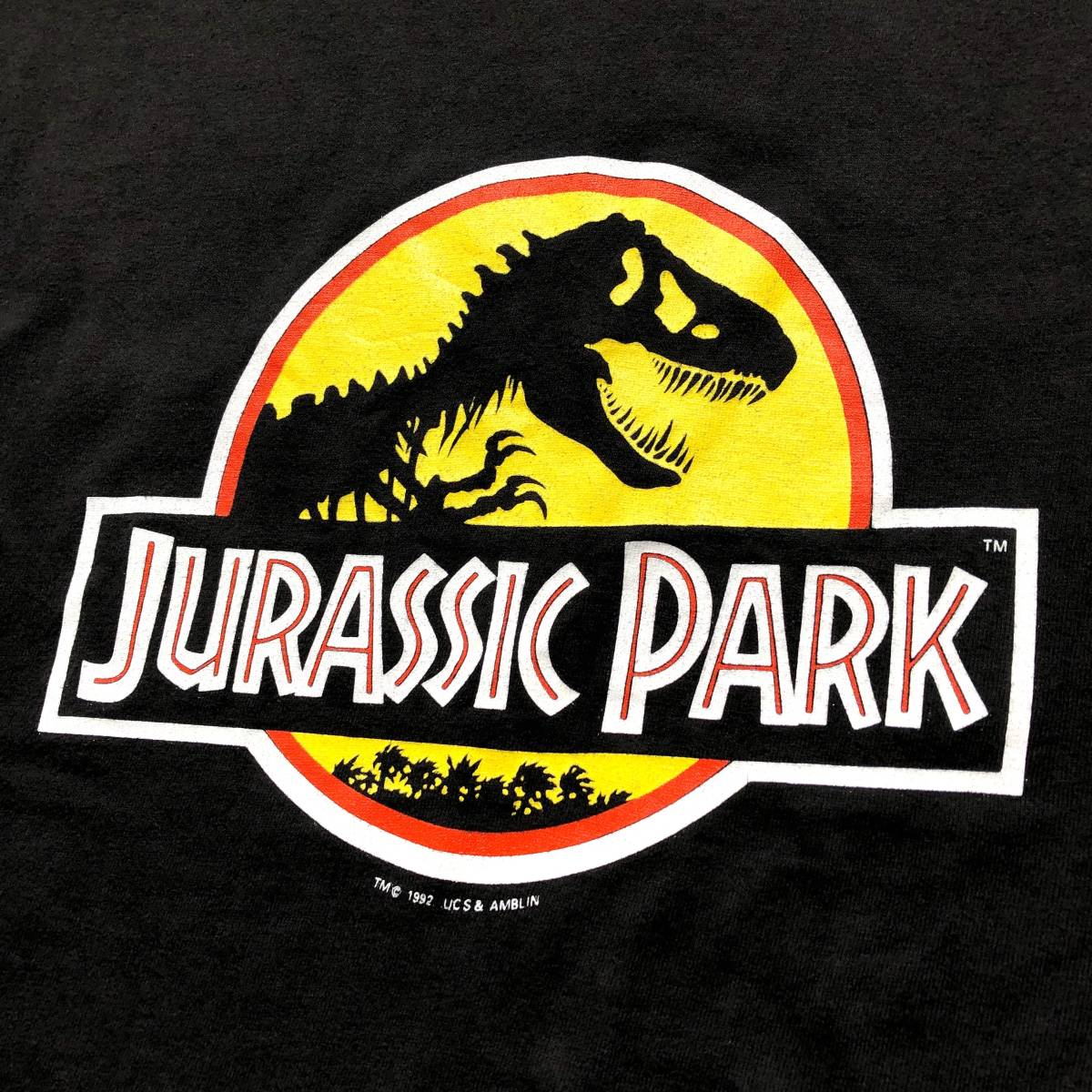 【Vintage】JURASSIC PARK Tシャツ Hanes L ジュラシックパーク MADE IN USA_画像5