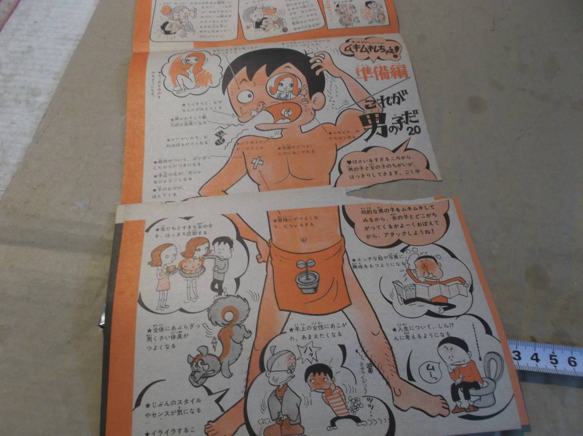 ヤフオク 男の子ドッキリ解剖ムキムキしちゃえ少女漫画付