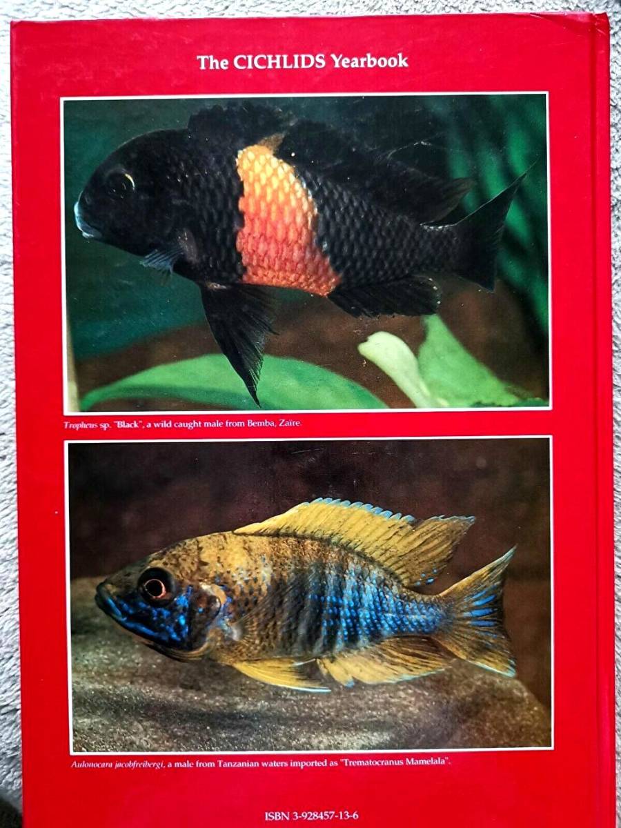  free shipping!! The CICHLIDS yearbook Volume3sik lid year book Vol3 Ad Konings foreign book malaui lake tongue gani squid lake Africa nbook@ illustrated reference book 