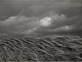 栗田紘一郎 写真作品「Dark Cloud」(ゼラチンシルバープリント 栗田紘一郎 写真作品「Dark Cloud」(ゼラチンシルバープリント
