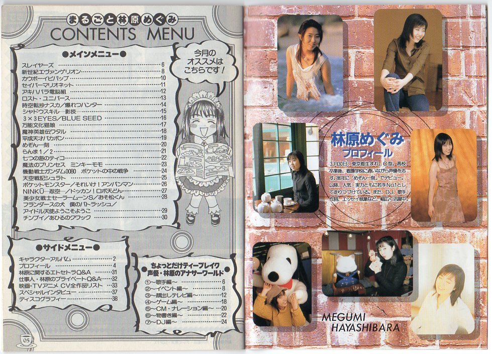 【付録のみ】月刊ニュータイプ 1999年1月号付録品★まるごと林原めぐみ_画像2